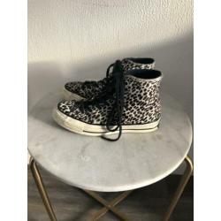 Converse Chuck Taylor All Star ‘70 leopard