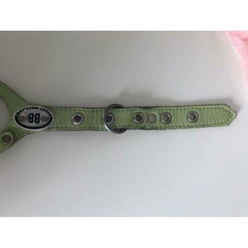 Buddy belt, hondenhalsband