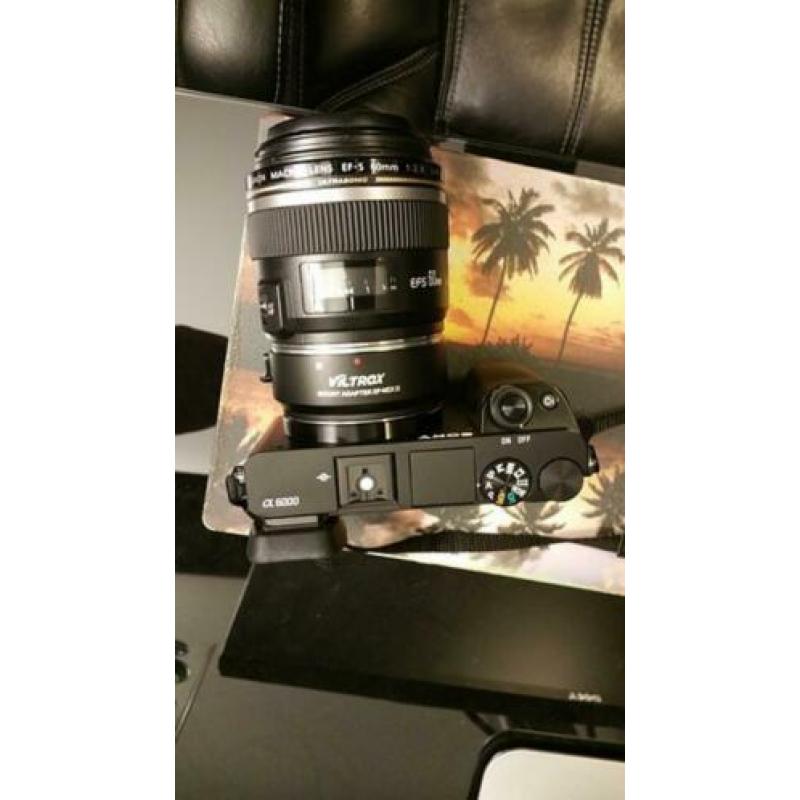 Canon 50mm USM f1.4 + speed Booster EF adabter Sony E Mount