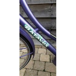 Batavus 26 inch