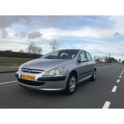 Peugeot 307 1.6 16V 5DRS 2002 (luxe uitvoering)