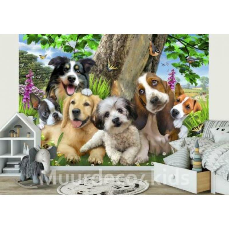 Huisdieren behang Selfie, puppy, kitten, hond *Muurdeco4kids