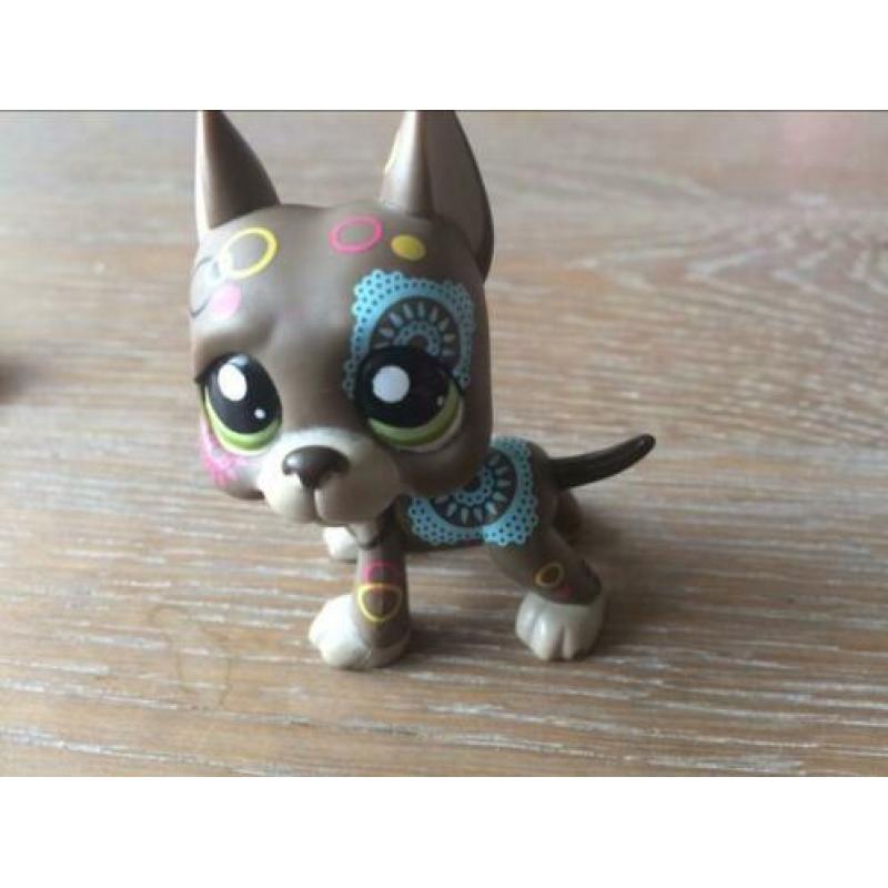 Littlest pet shop great dane postcard editie