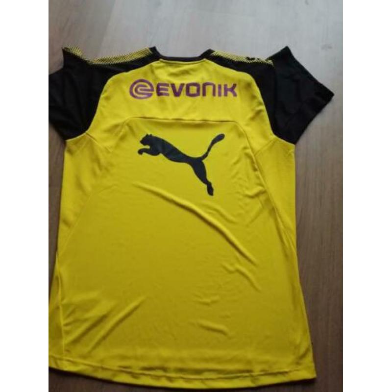 Voetbal shirt van BVB