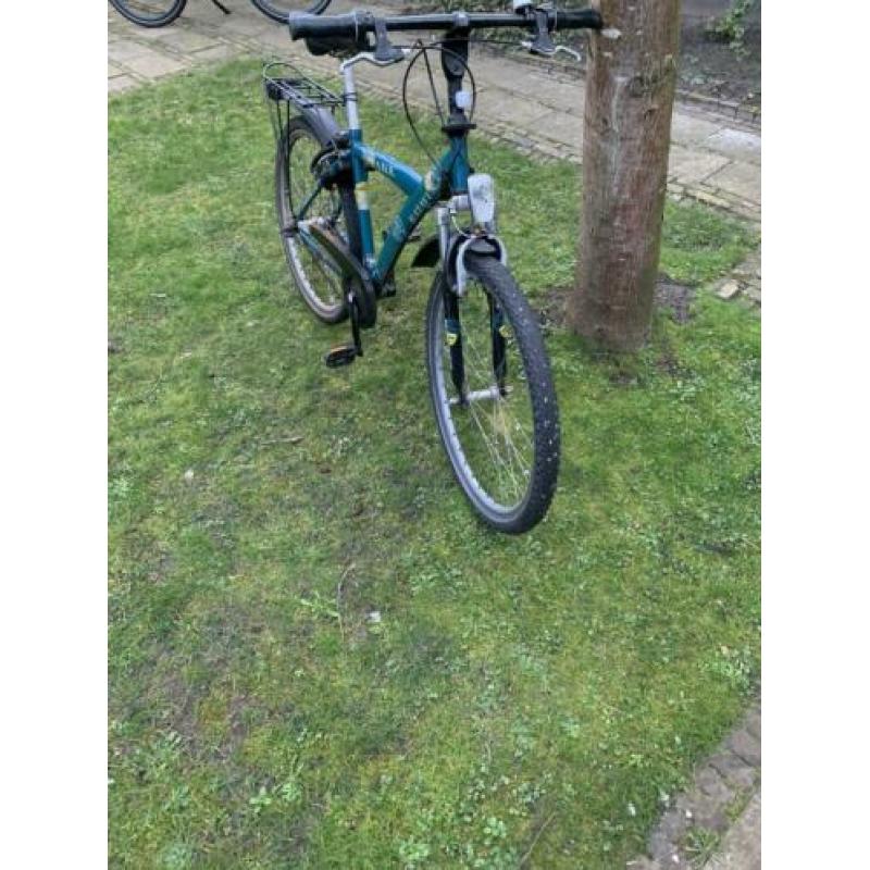 Batavus snake 24 inch te koop