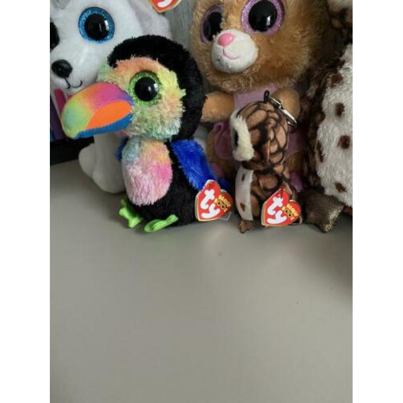 Ty beanie boos MET HET KAARTJE ERAAN!