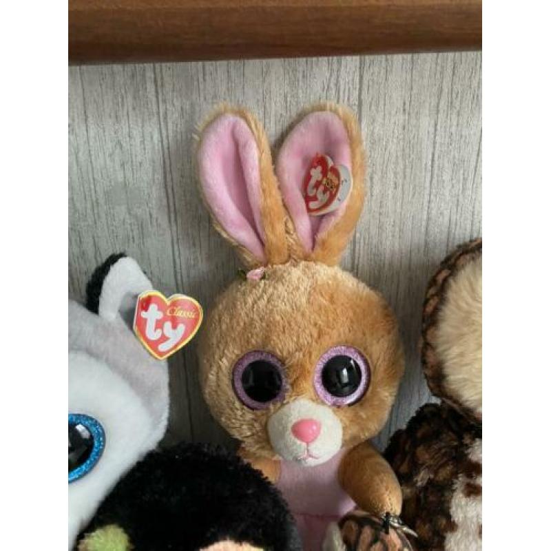 Ty beanie boos MET HET KAARTJE ERAAN!