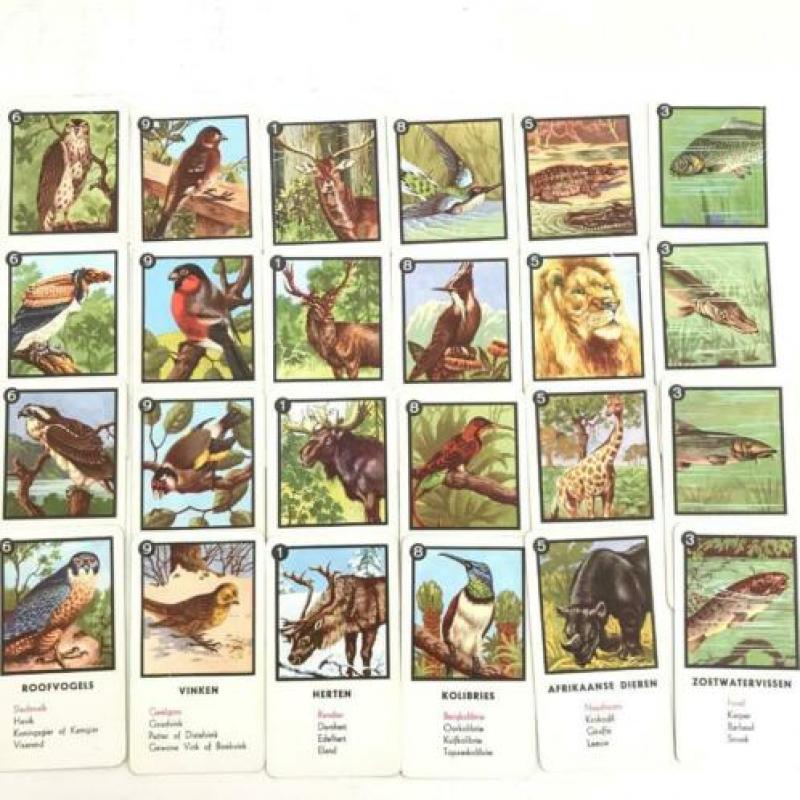 Vintage kwartet spel "Dieren"