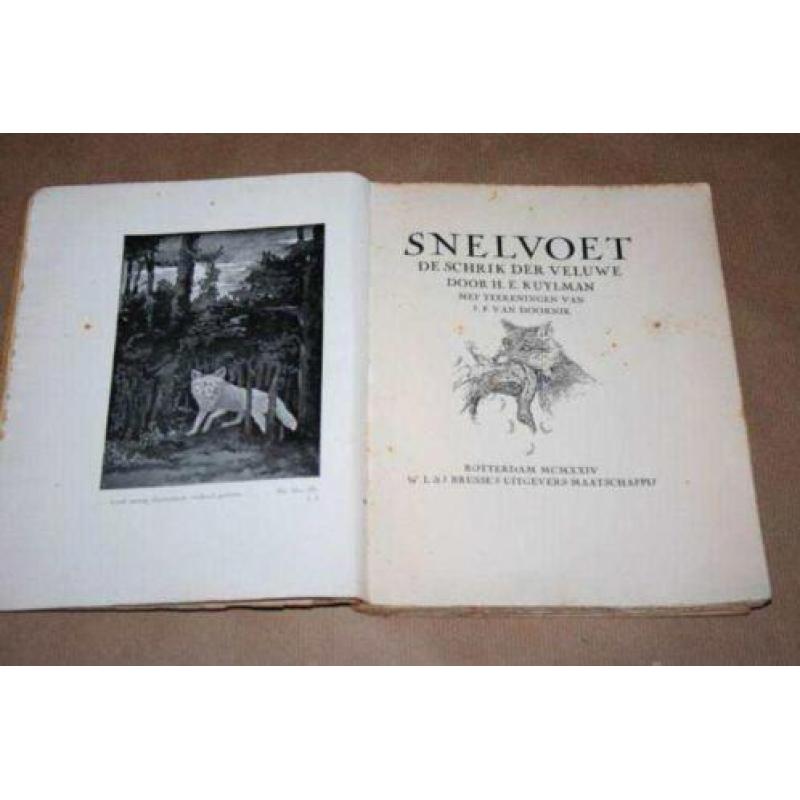 Snelvoet - De schrik der Veluwe - Kuylman 1924 !!