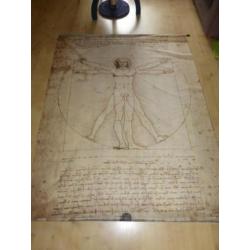 Leonardo da Vinci, man van vitruvius