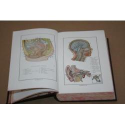 Oud Indonesisch boek over anatomie m kleurenplaten . - 1950!