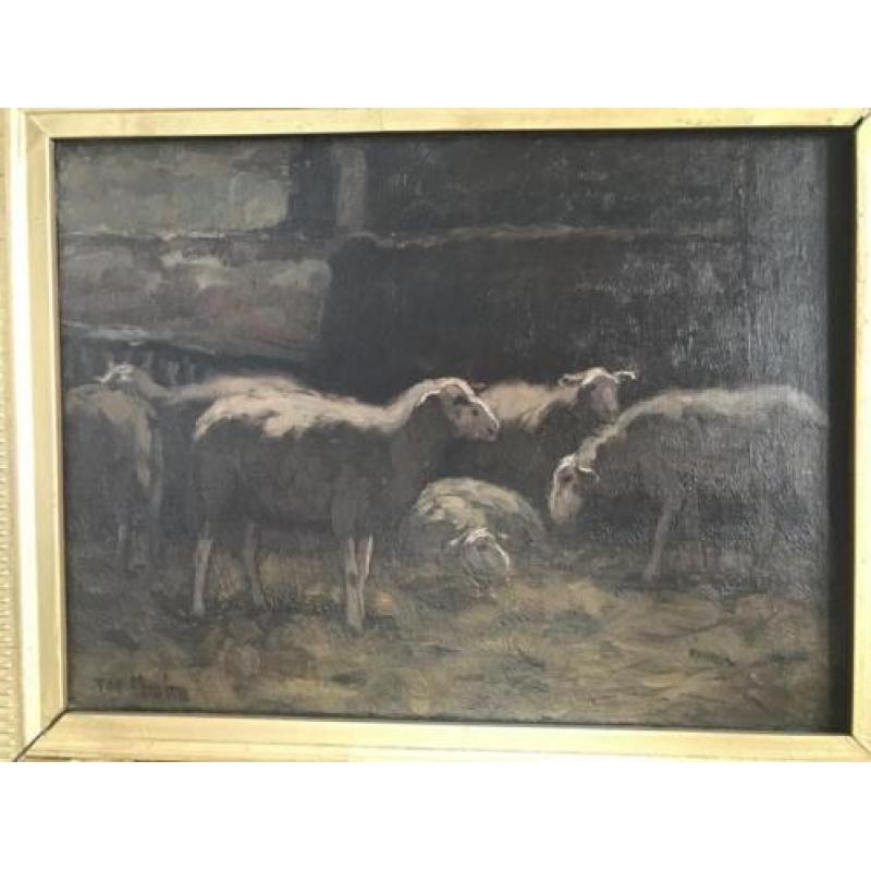 Ter Meulen schapen in stal schilderij