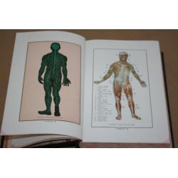 Oud Indonesisch boek over anatomie m kleurenplaten . - 1950!