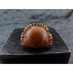 Egyptian crystal Cowrie shell amulet