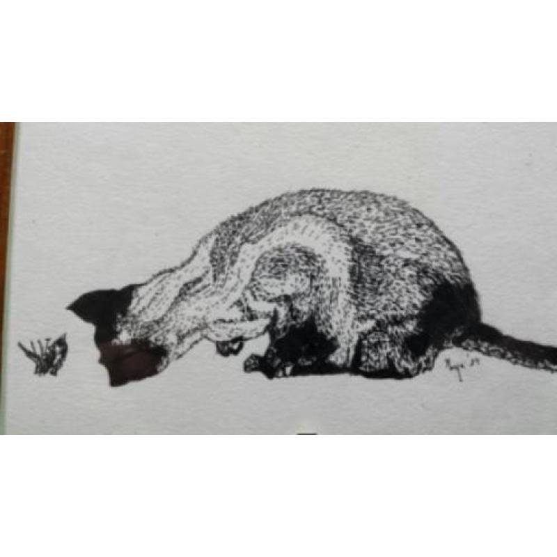 orig. pen tekening inkt poes met vlinder gesigneerd Inge