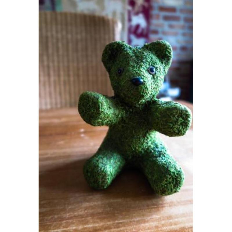 groene teddybeer van mos