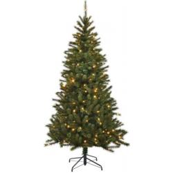 Black Box Kingston Lights kunstkerstboom 215 cm