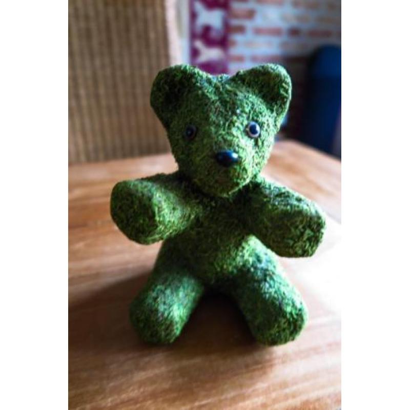 groene teddybeer van mos