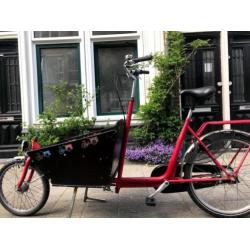 Bakfiets cargo bike short incl regentent, dekzeil en axa slo